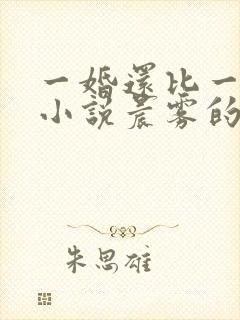 一婚还比一婚高小说晨雾的光