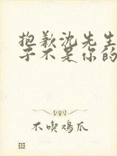 抱歉沈先生,孩子不是你的短剧免费