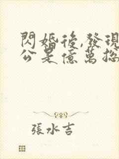 闪婚后,发现老公是亿万总裁 小说