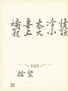 娇妻太冷情傅总宠上天小说免费阅读