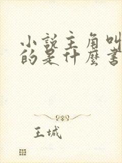 小说主角叫林凡的是什么书