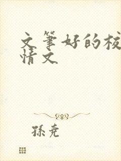 文笔好的校园言情文