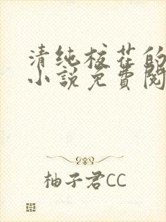 清纯校花的日常小说免费阅读