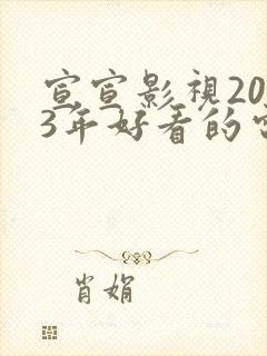 宣宣影视2023年好看的电视剧