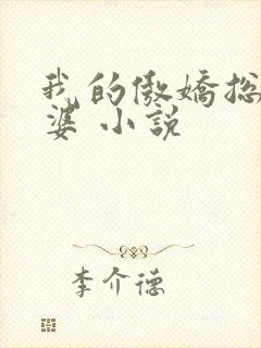 我的傲娇总裁老婆 小说