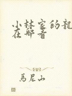 小林家的龙女仆在哪看