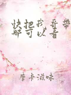 快把我哥带走在哪可以看