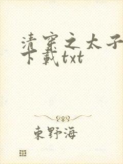 清穿之太子娇妃下载txt