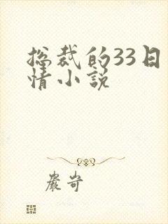 总裁的33日索情小说