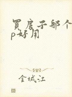 买房子那个app好用