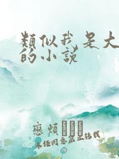 类似我是大玩家的小说