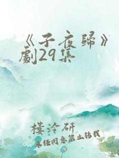 《子夜归》电视剧29集