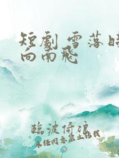 短剧 雪落时你向南飞