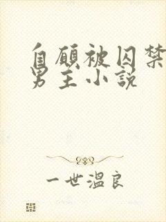 自愿被囚禁的双男主小说