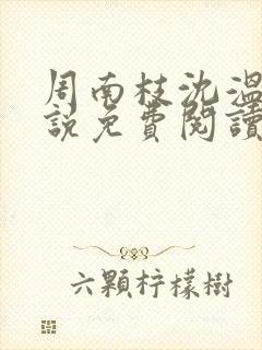 周南枝沈温言小说免费阅读最新章节