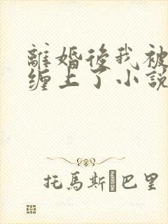 离婚后我被前夫缠上了小说