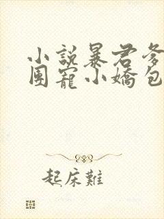 小说暴君爹爹的团宠小娇包全文