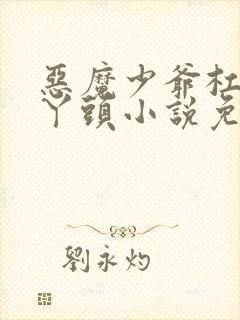 恶魔少爷杠上拽丫头小说免费阅读