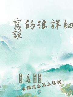 写的很详细的小说