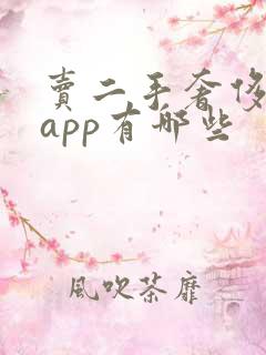 卖二手奢侈品的app有哪些