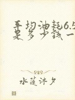 平均油耗6.5是多少钱一公里