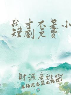 我才不是小可怜短剧免费