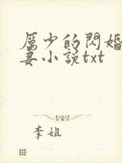 厉少的闪婚小萌妻小说txt