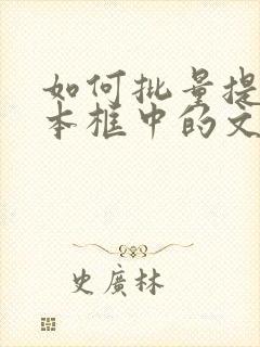 如何批量提取文本框中的文字