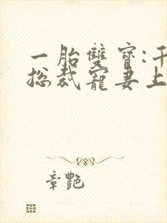 一胎双宝:千亿总裁宠妻上瘾