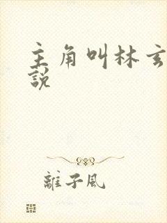 主角叫林玄的小说