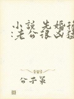 小说 先婚后爱:老公很凶猛