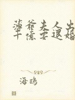 薄爷夫人出价一千亿要退婚第一次