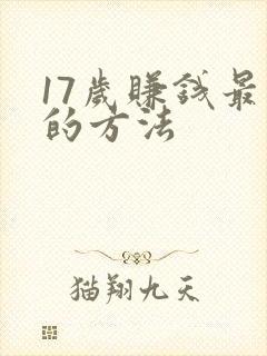 17岁赚钱最快的方法