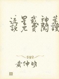 流星武神叶峰小说免费阅读