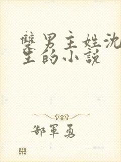 双男主姓沈是重生的小说