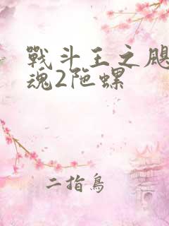 战斗王之飓风战魂2陀螺