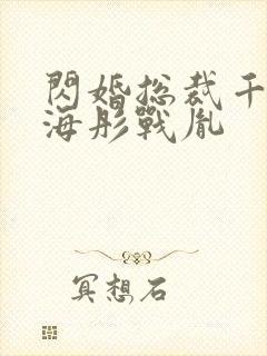 闪婚总裁千亿宠海彤战胤