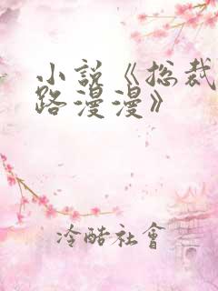 小说《总裁追妻路漫漫》