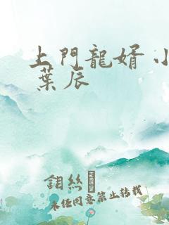 上门龙婿 小说 叶辰