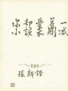 你却爱着一个他小说未删减免费全文番外