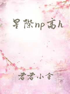 星际np高h