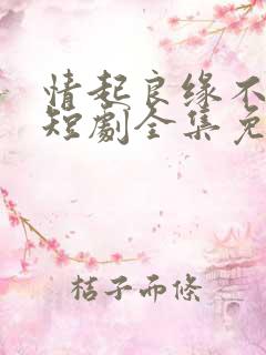 情起良缘不可窃短剧全集免费观看