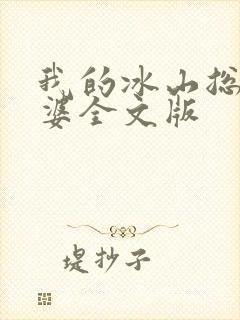 我的冰山总裁老婆全文版