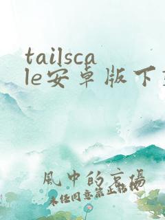 tailscale安卓版下载