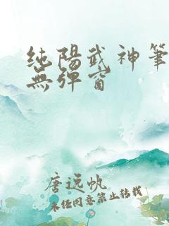 纯阳武神笔趣阁无弹窗