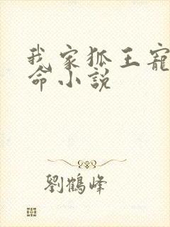 我家狐王宠妻如命小说