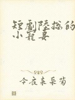 短剧陆总的替嫁小宠妻