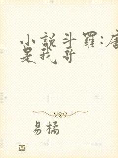 小说斗罗:唐三是我哥