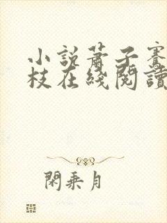 小说萧子骞宋瑶枝在线阅读