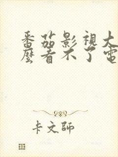 番茄影视大全怎么看不了电视剧